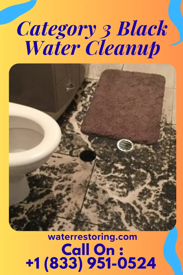 Category 3 Black Water Cleanup in Conetoe, NC