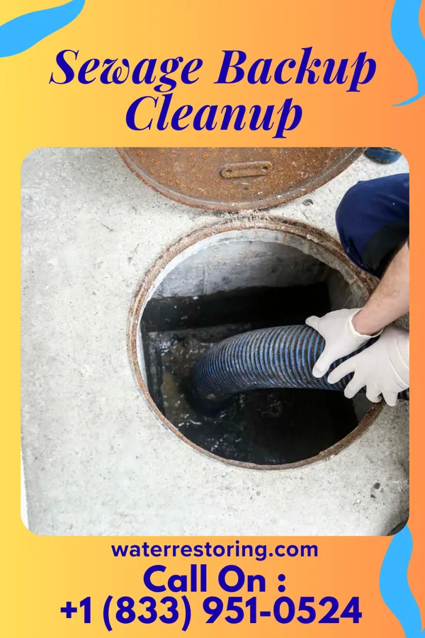 Sewage Backup Cleanup in Conetoe, NC